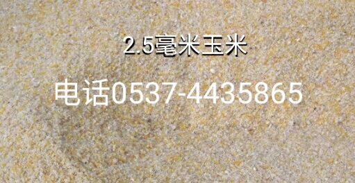 2.5毫米玉米.jpg